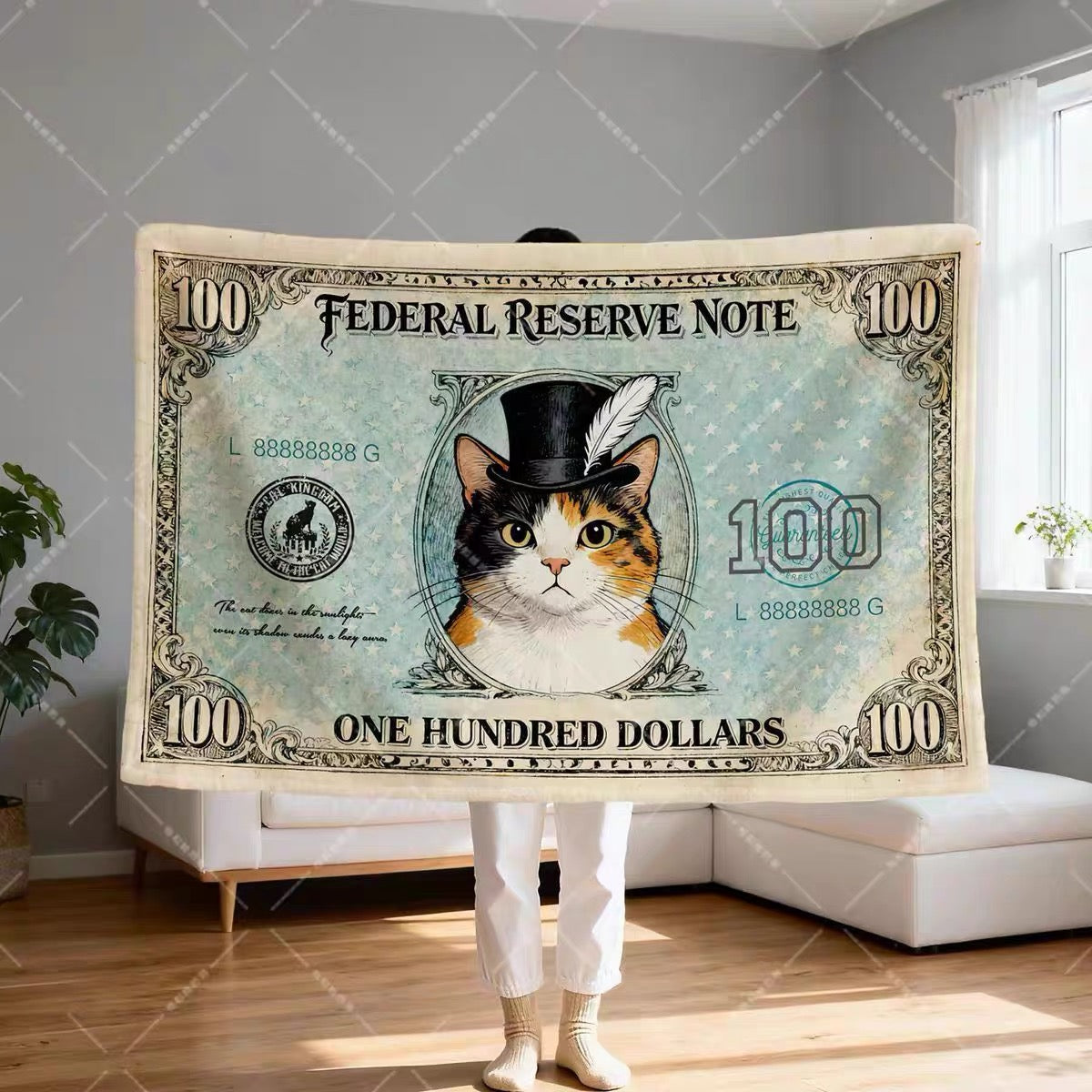 Fat Cat $100 Note Blanket