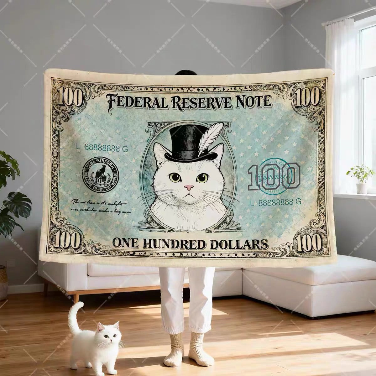 Fat Cat $100 Note Blanket
