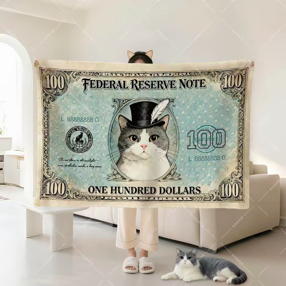 Fat Cat $100 Note Blanket
