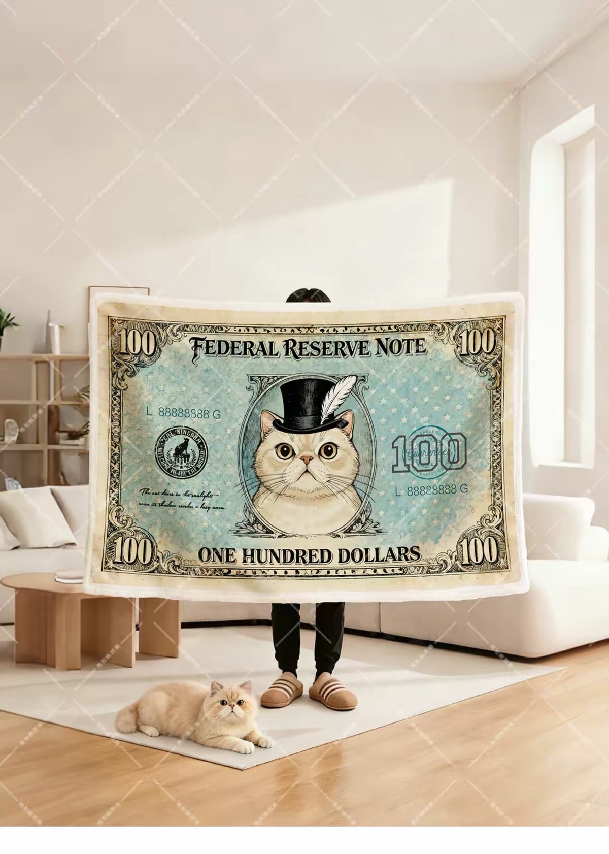Fat Cat $100 Note Blanket