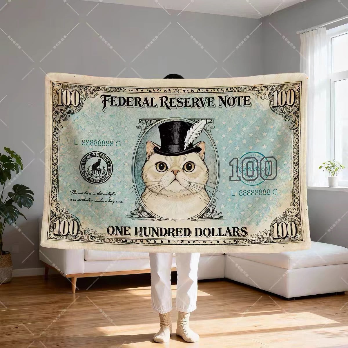 Fat Cat $100 Note Blanket